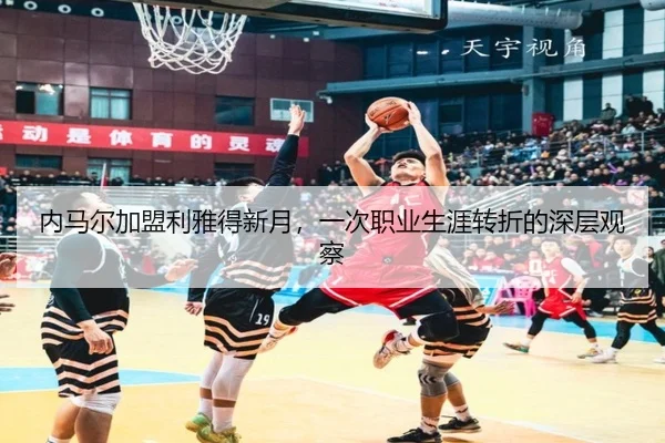 nei-ma-er-jia-meng-li-ya-de-xin-yue-yi-ci-zhi-ye-sheng-ya-zhuan-zhe-de-shen-ceng-guan-cha-2-479.jpg